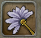 dQUraw6.png